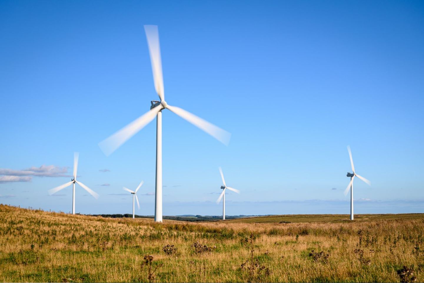 Willatook Wind Farm - Thumbnail